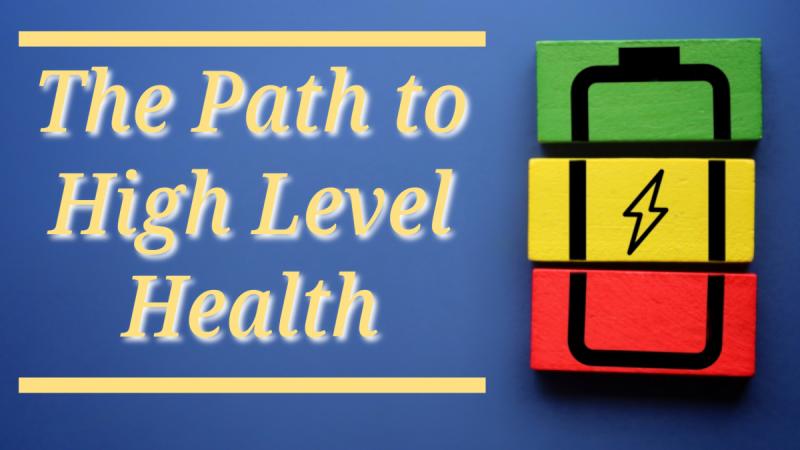 The Path to High Level Health